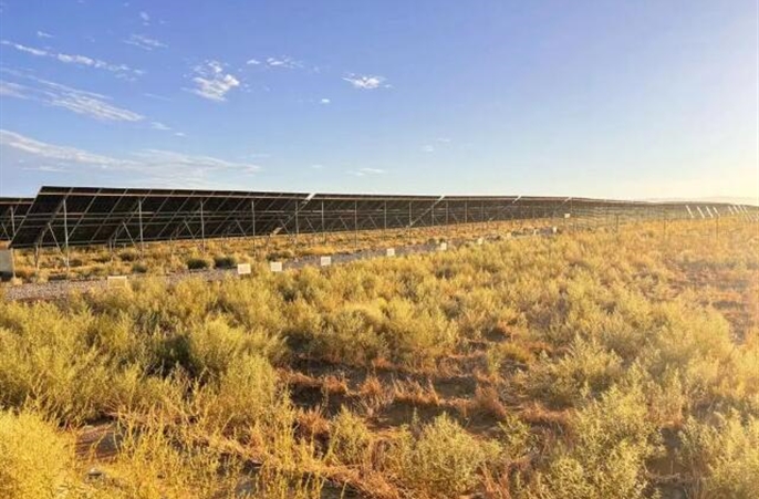 沙漠换“新装”，一起来看看这个项目的如画秋景